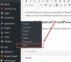 Editor Tab - WordPress Admin